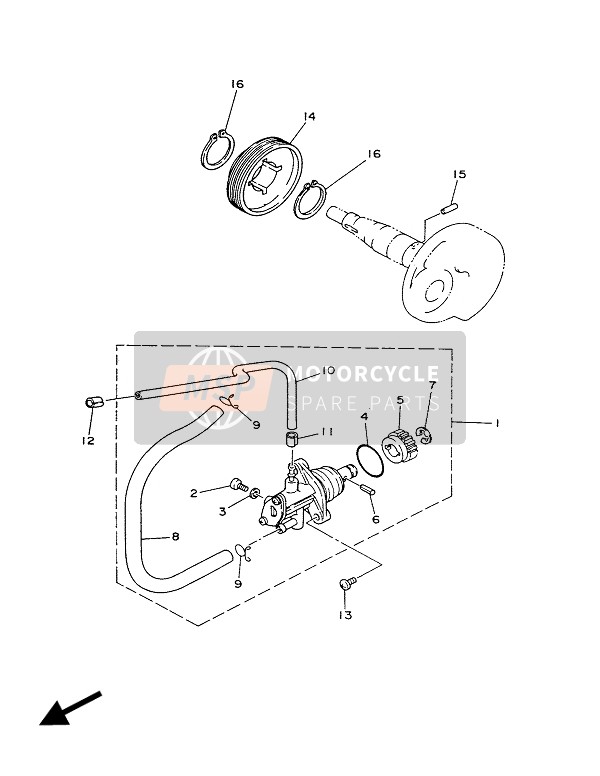 Oil Pump